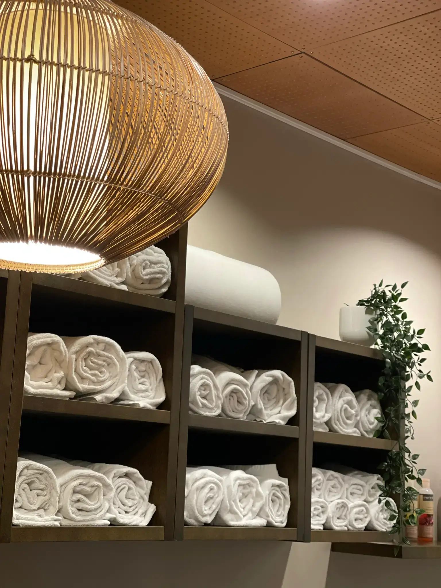 dayspa.webp
