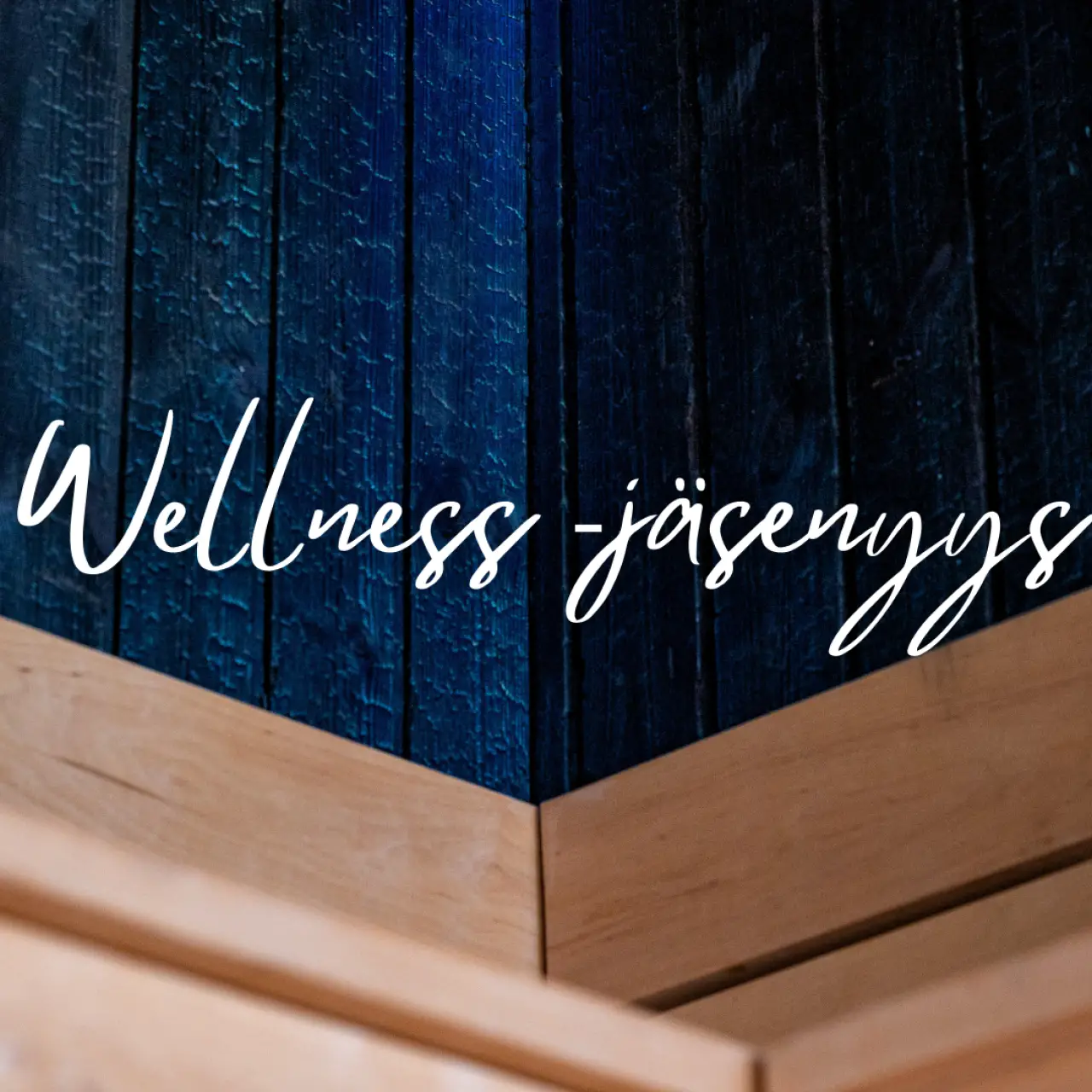 Huonekuvat Utu plus-5.png