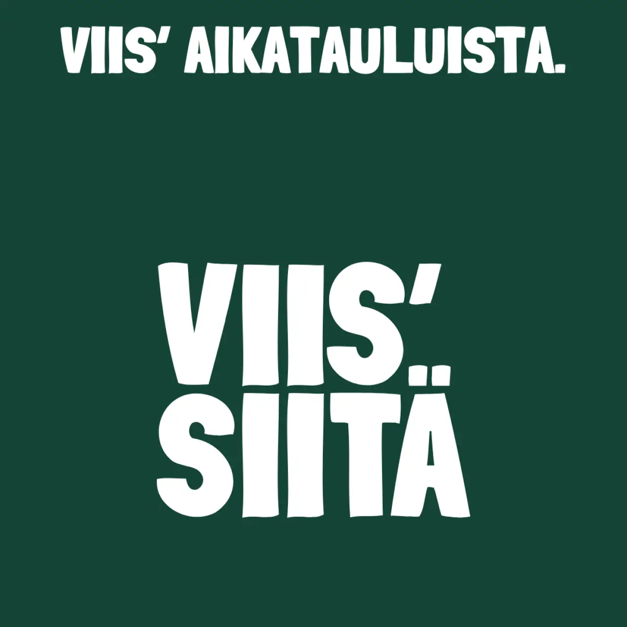 Viis' siitä instagram 45-2.png