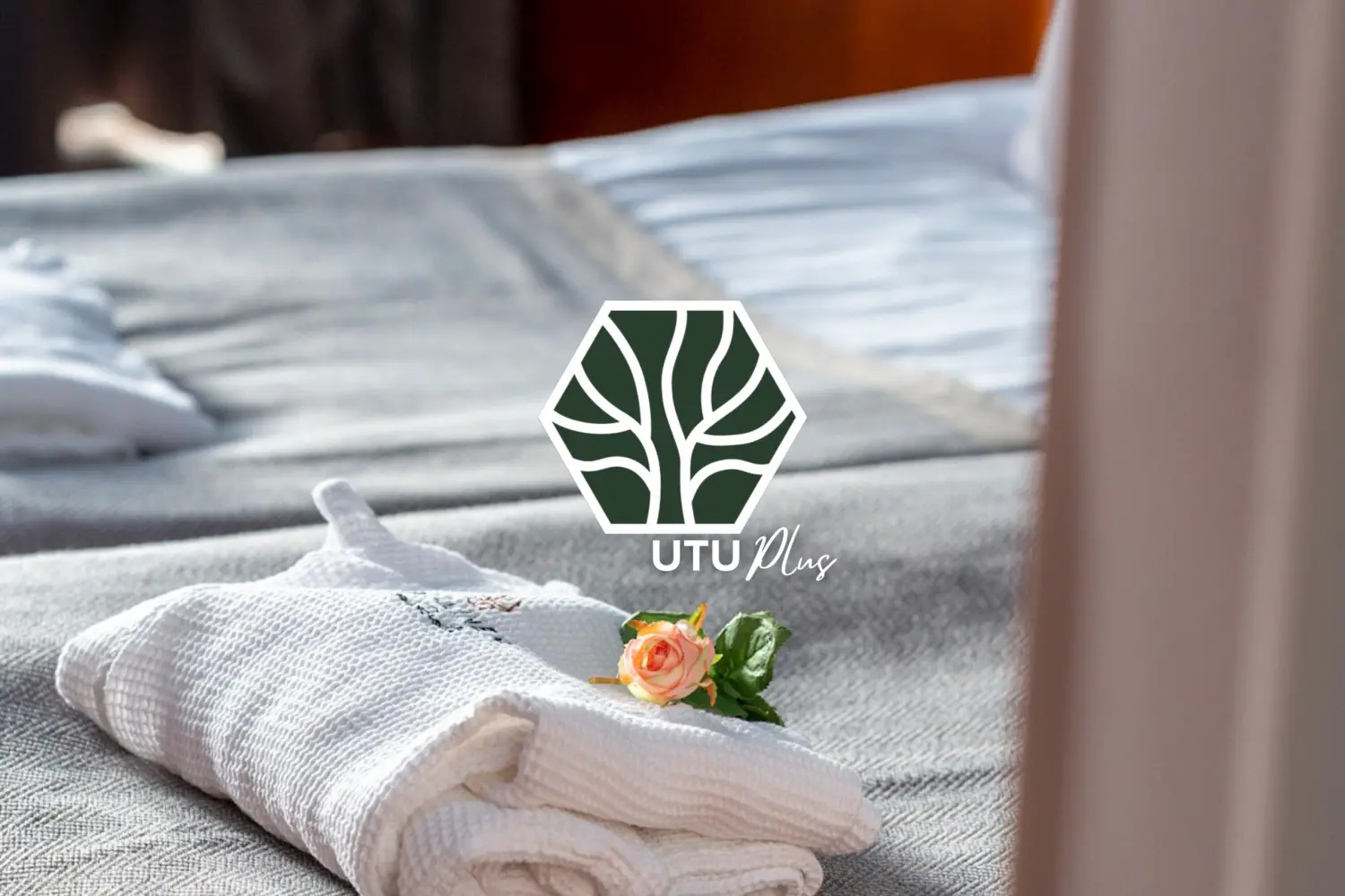 Huonekuvat Utu plus-10.png