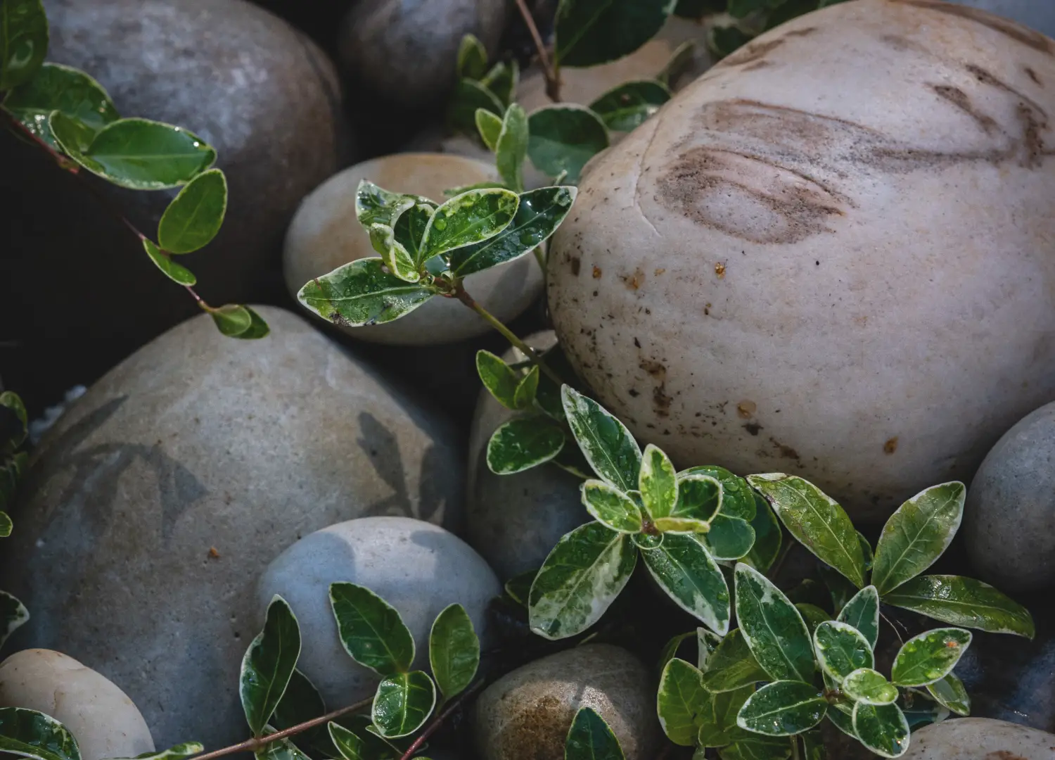 Huonekuvat Utu plus-6.png